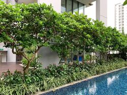 6 Derbyshire (D11), Condominium #550940351
